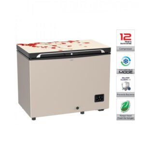 Walton Freezer 255L / WCG-2E5-GELE-CX