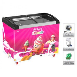 Walton Ice Cream Freezer 270L / WCG-2G0-CGXX-XX