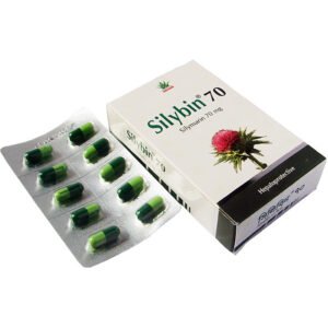 Silybin Capsule 70 mg (Silymarin)